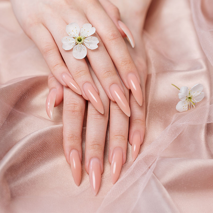 WILD NAILS & SPA